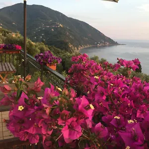 Rosse Bed and breakfast